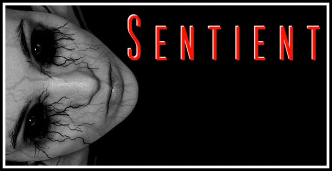 Sentient - The conflict model